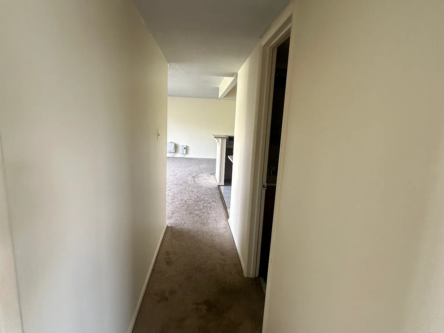 3 bed, 1200 sqft, $2,200 — Photo 3