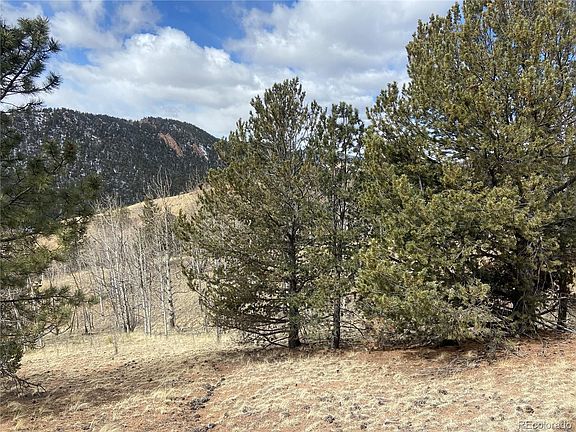 5th image of 37 Wild Horse Cir