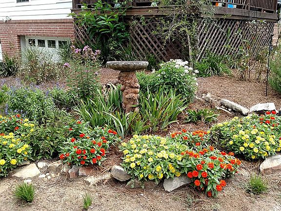 Established beds