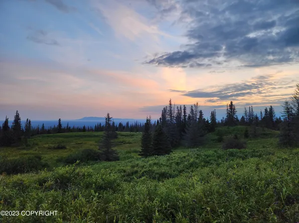 34740 S Oilwell Rd, Trapper Creek, AK 99683