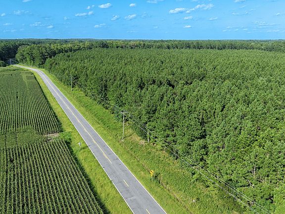 5th image of 999 Boyd Swamp Road