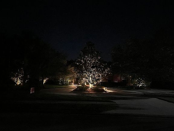 Front Elevation at Night
