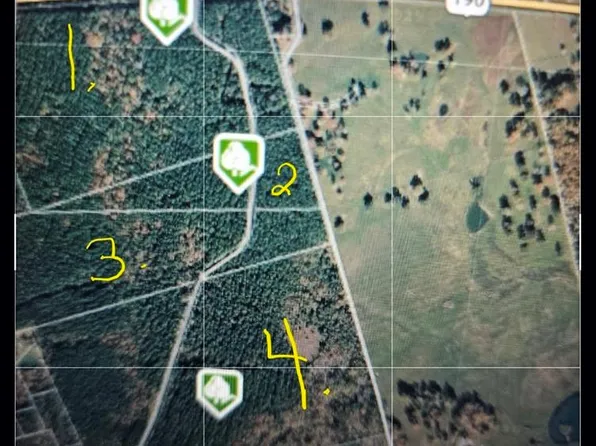 Tbdparcel 130757 Hwy #190, Pointblank, TX 77364