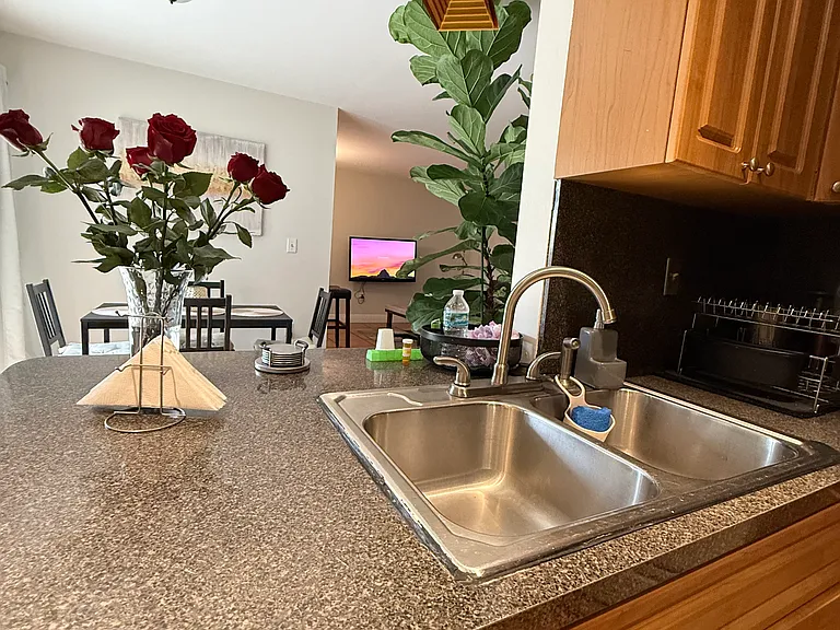 View from the Kitchen