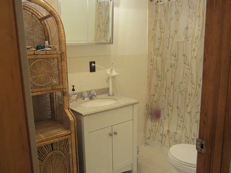 Bathroom with shower and standard full tub.