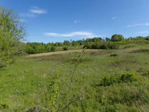 Clinch Valley Rd, Eidson, TN 37731