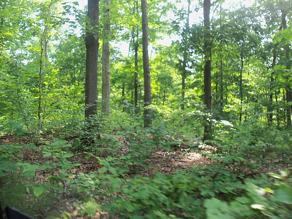 Hard Wood Trees