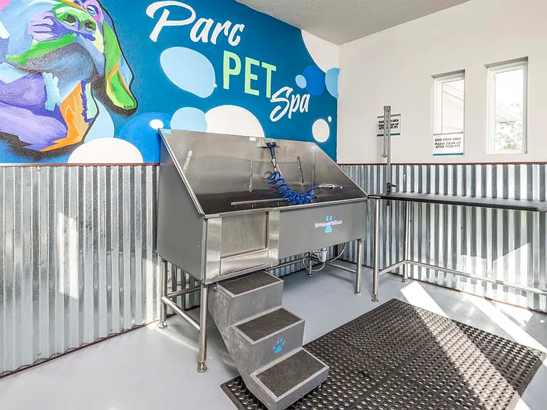 Parc at Wesley Chapel — Photo 25
