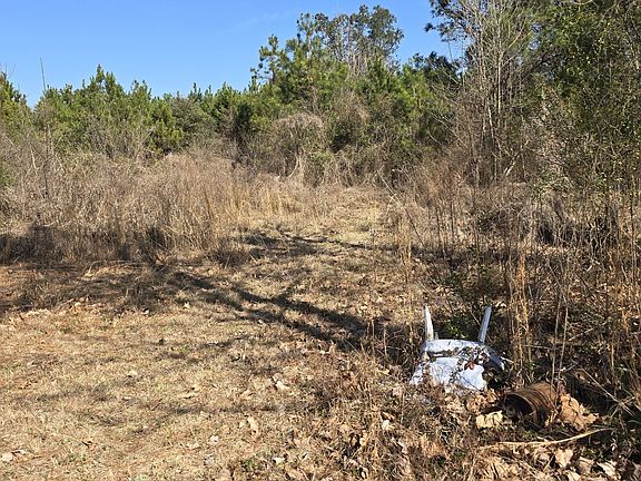 2nd image of 597 Fordham Rd