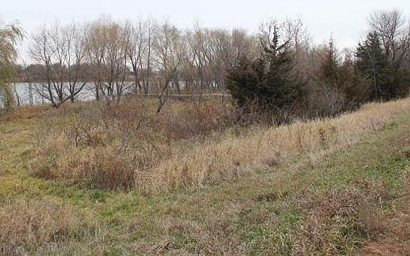 5th image of 22683 Oriole Cir