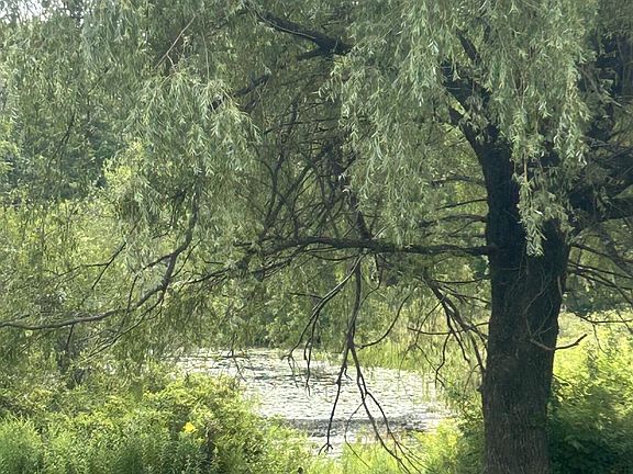 3rd image of 67 Pike Road