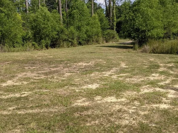 31187 Pace Ln, Walker, LA 70785