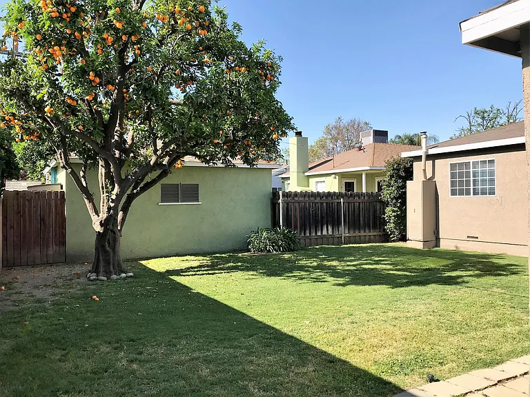 Totally private backyard. Orange tree is original from the 1950's when built!