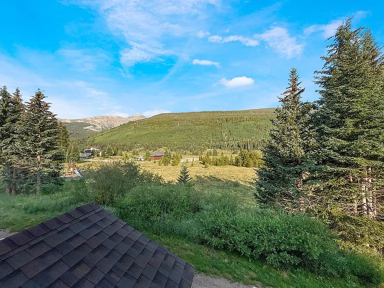 107 Peaks View Ct #324 — Photo 22