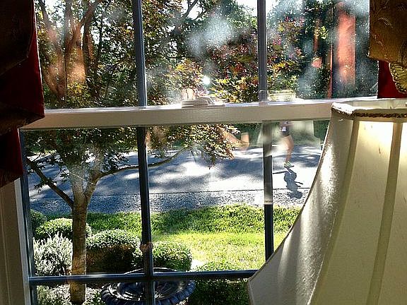 View from Front Window