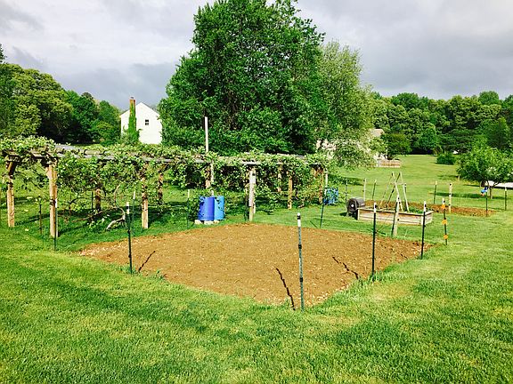 Gardens and grapes