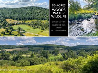 Lot 11 Franklin Depot Road, Sidney, NY 13838