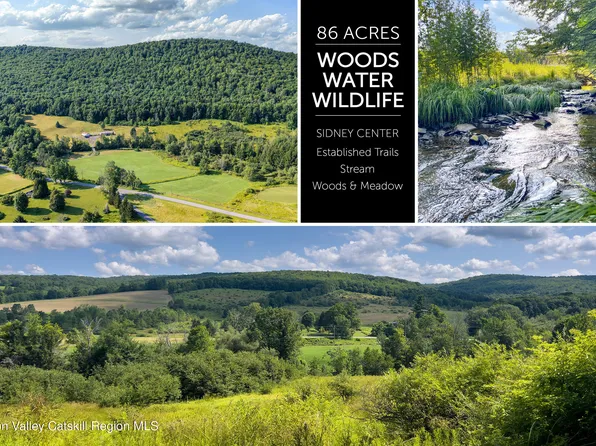 Lot 11 Franklin Depot Road, Sidney, NY 13838