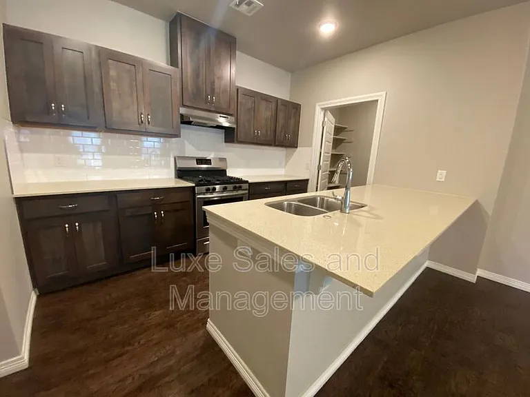2133 Camino Del Plaza Ln — Photo 8