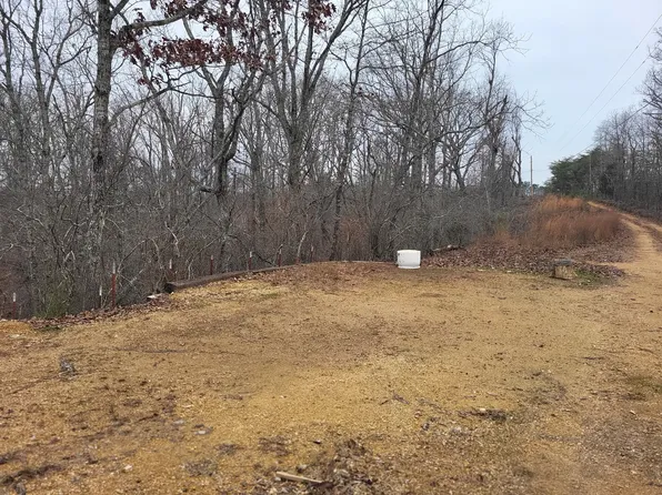 177 Martin Cv, Holladay, TN 38341