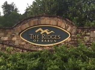 205 Shake Hollow Dr, Rabun Gap, GA 30568