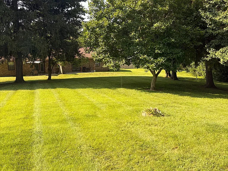 back yard