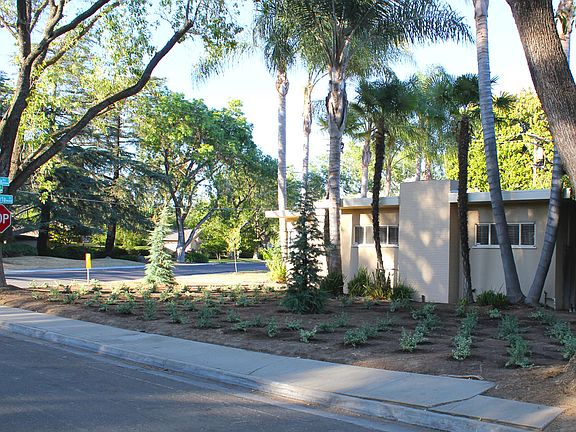 New Drought Resistant Yard
