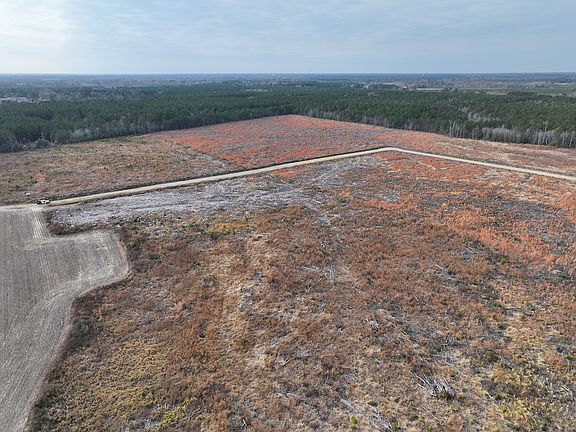 4th image of 0 Webb Lake Rd Lot Wp002