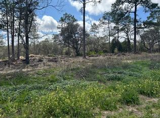 4658 W Grover Cleveland Blvd, Homosassa, FL 34446