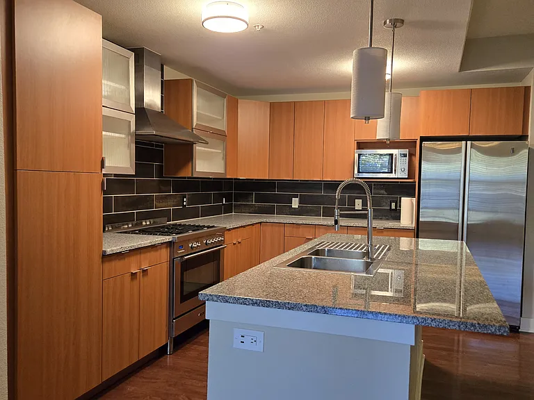 Gourmet kitchen