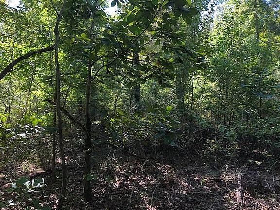 Regenerating Hardwoods