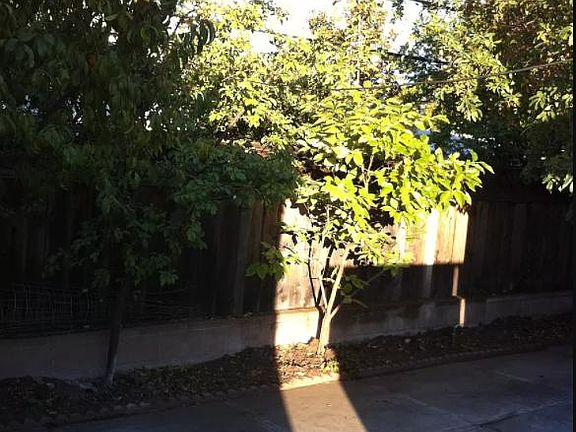 5th image of 3267 Alma St