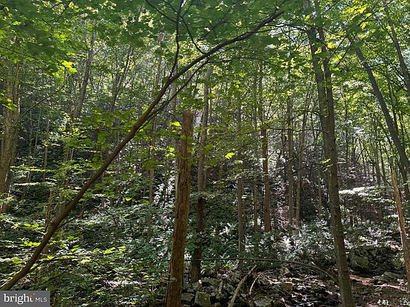 4th image of 95/ACRE S Laurel Mountain Rd