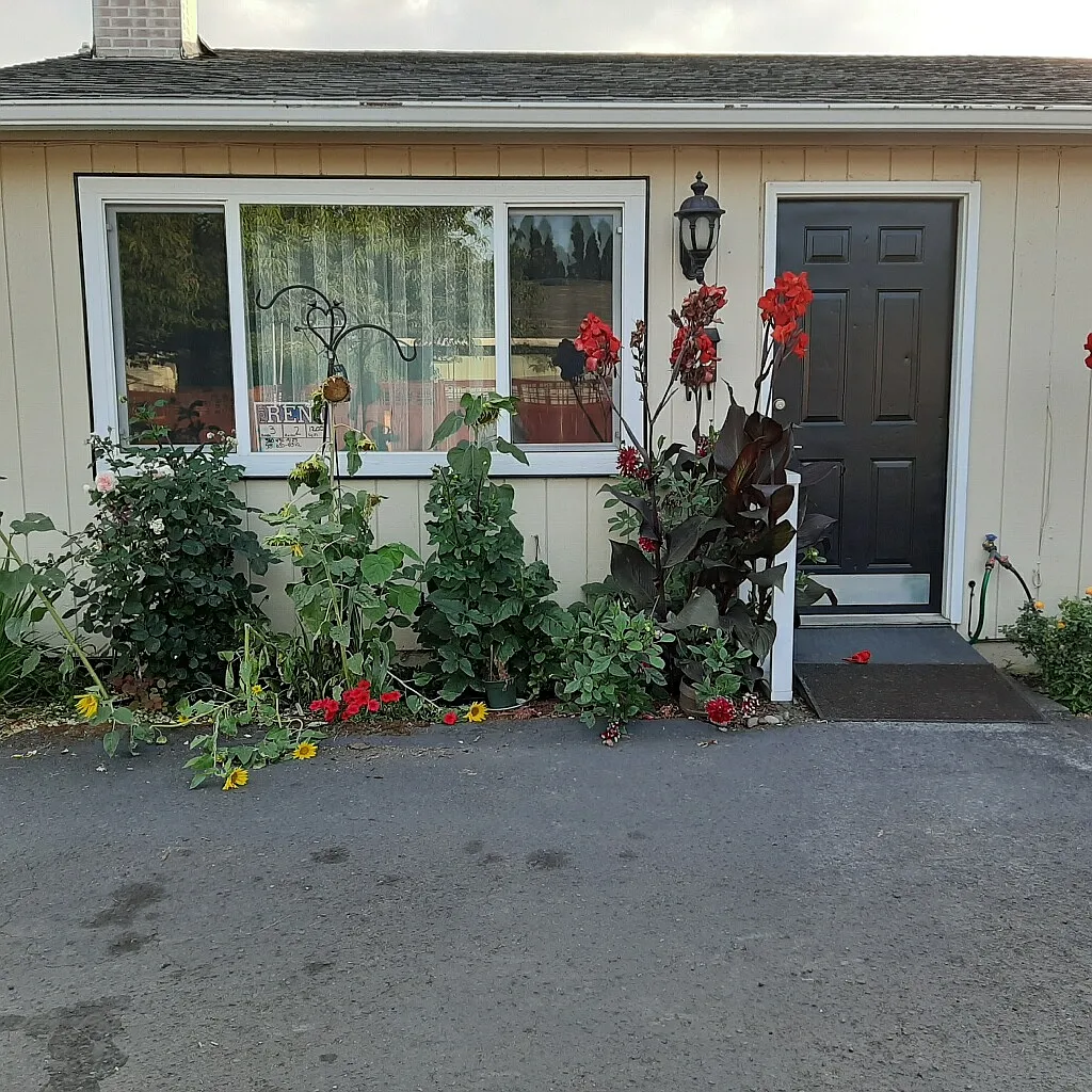 3 bed, 1192 sqft, $2,450 — Photo 1