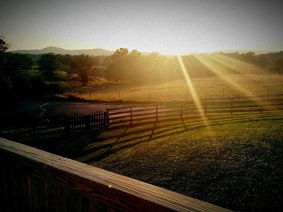4th image of 8406 Sunshine Ct