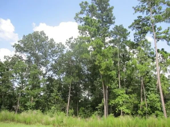 27306 Tropper Hill Ln, Spring, TX 77386