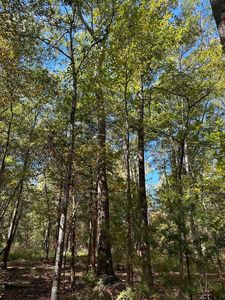 Fm 768, Rusk, TX, 75785