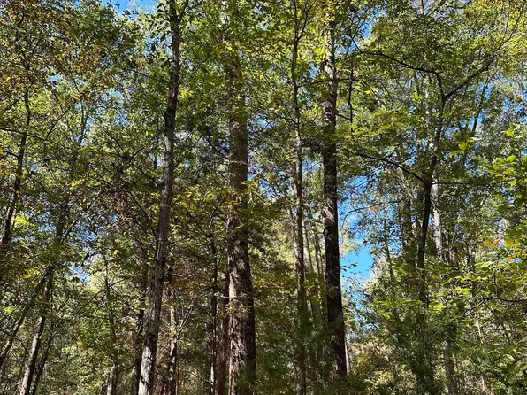 Fm 768, Rusk, TX 75785