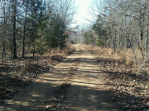 2nd image of 233 Sunshine Ln