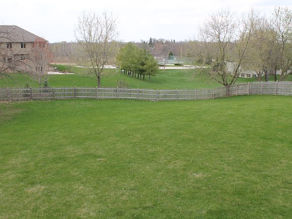 Fenced yard to roam in