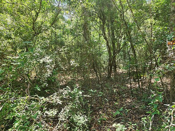 3rd image of LOT 237 NW 45th Ave