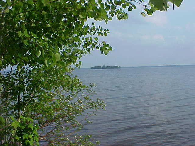2nd image of Lot 17 Cr 480