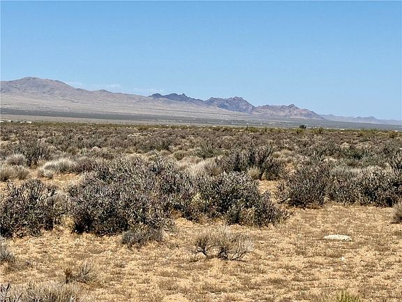 2nd image of 340-13-087 Silver Sage
