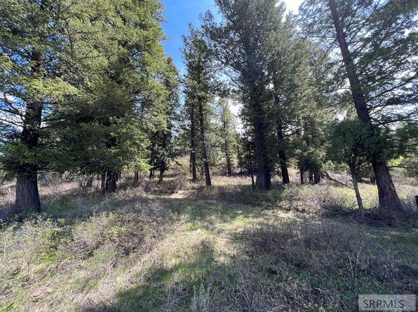L31&32 Cutthroat Run, Irwin, ID 83428
