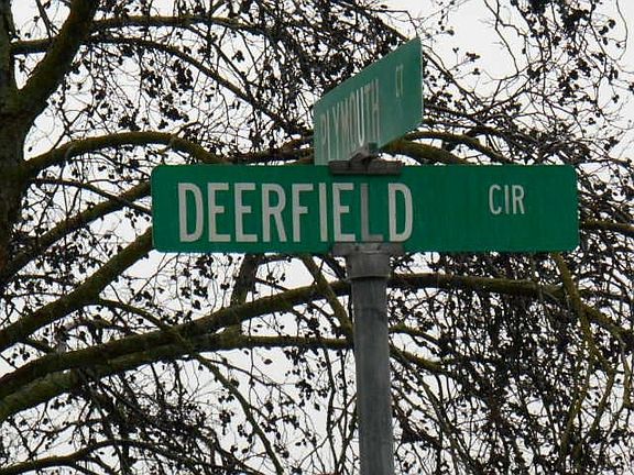 5th image of 1488 Deerfield Cir