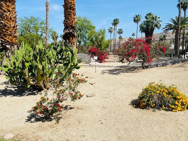 E Palm Canyon Dr — Photo 28