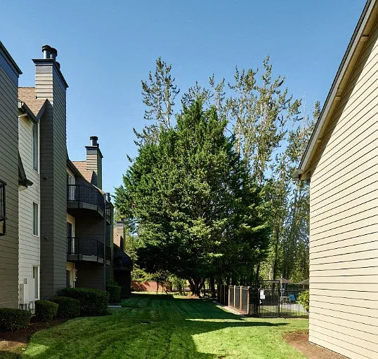 The Woodlands — Photo 36