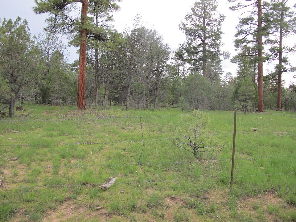 2nd image of 1794 Sugar Pine Dr