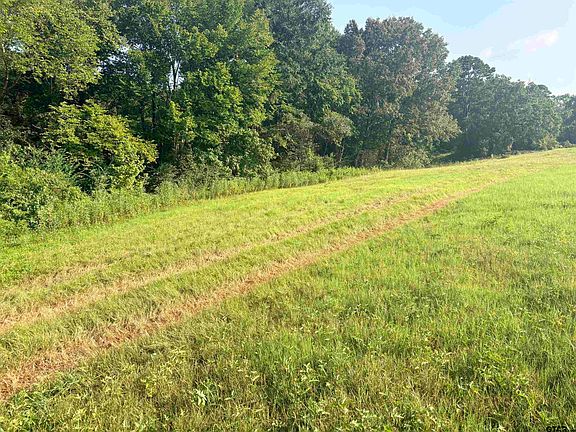 3rd image of LOT 10 Fm 15 & County Road 2166