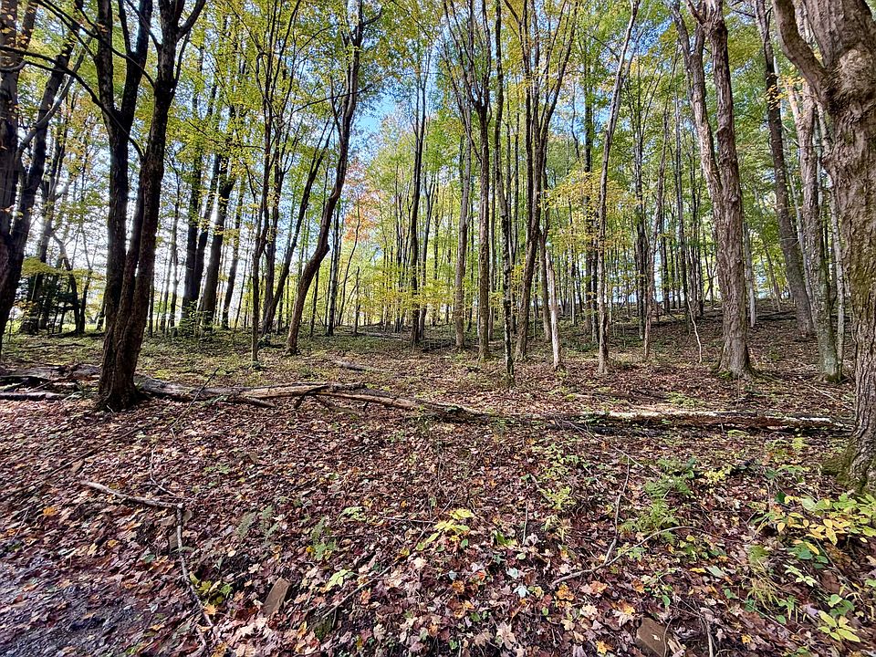 2nd image of Riley Ln